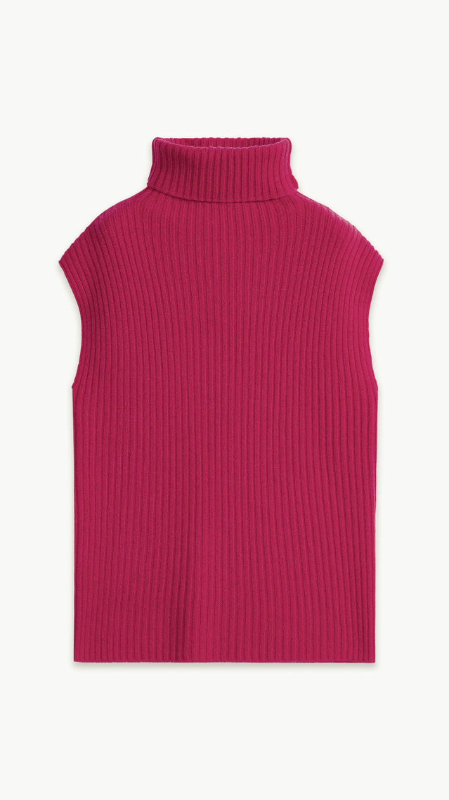 Valerie Turtleneck Wool And Cashmere Vest